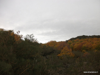 lto del Cane18-11-2012 09-31-47